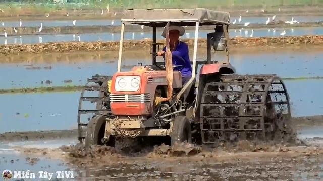 Sức Mạnh Máy Cày đấu đầu Isuzu C240 Sài 15 Năm Chạy Một Ngày 50 Công Máy Cày Shibaura SD3000