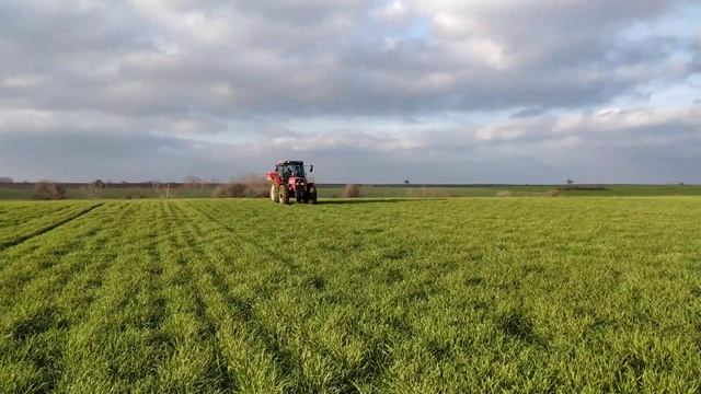 Gaspardo zeno 2021 & Massey Ferguson 3.095 смотреть онлайн