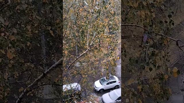 14.10.2024 год. Первый снег в Москве идёт на Покров.❄️❄️❄️ смотреть онлайн