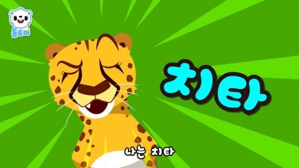 비슷하지만 다른 동물🐅🐆 | 헷갈려 헷갈려! 누가 누구야? | 해달vs수달, 치타vs표범, 물개vs물범 | 톰토미 (TOMTOMI)