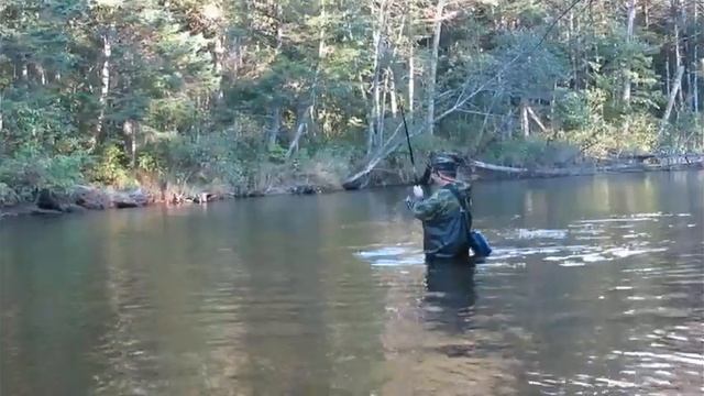 Таймешек на Берендже смотреть онлайн