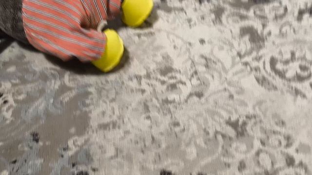 утро басика смотреть онлайн