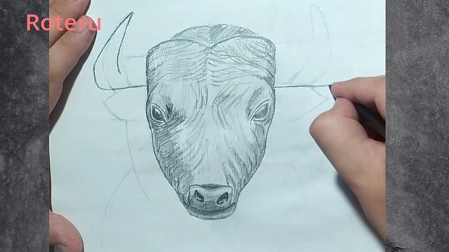 How to draw a Bull Sketch Как нарисовать быка смотреть онлайн