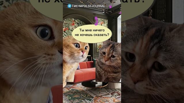 А вокруг тишина #мыкотики #вмем #разговор #анекдот #шутки #кот #юмор #смешное #прикольно #мемы #cat смотреть онлайн