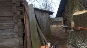 Разбираем липу с помощью арбопорта