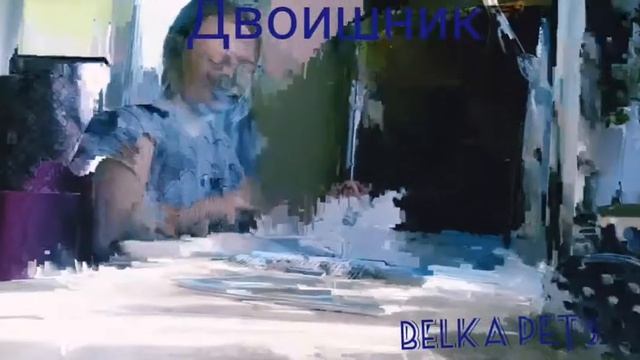 Топ 5 типов школьников | Belka Peta смотреть онлайн