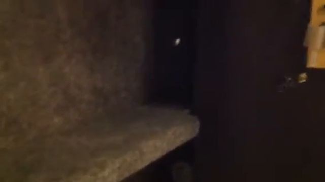 Harbor Freight Wall Safe Review and Improvement смотреть онлайн