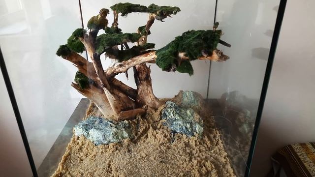 АКВАСКЕЙП ШАГ ЗА ШАГОМ 