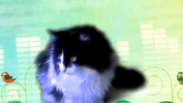 Pen Pineapple Apple Pen Song #CAT REMIX - CHEE YEE Teoh - PPAP смотреть онлайн