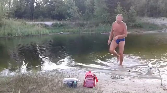 Плавание кошки Симы 02 08 2021 смотреть онлайн