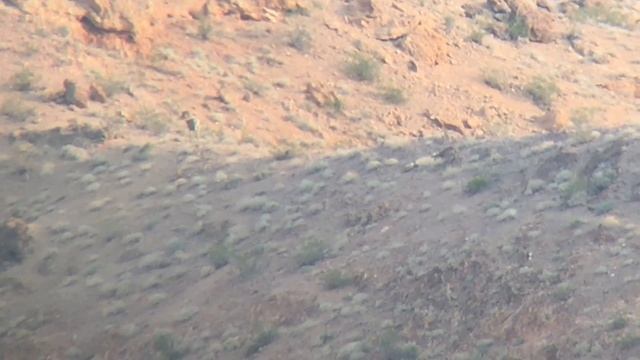 video through vortex viper spotting scope with phoneskope adapter iphone 6 (from over a mile) смотреть онлайн