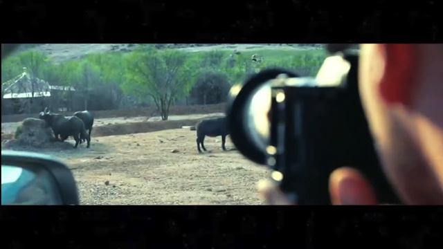 Free yourself with the #POER смотреть онлайн