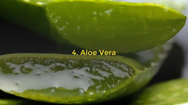 Natural Remedies for Thick and Long Hair | Healthy Living Tips смотреть онлайн