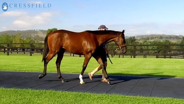 Inglis Easter 18 - Lot 402 - Exceed and Excel x Thump - Colt смотреть онлайн