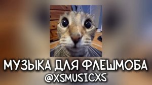 музыка для флешмоба