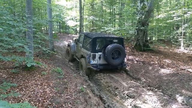 Test Drive - Off Road Jeep Wrangler Under Swamp | Wacar смотреть онлайн