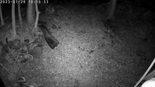 【総集編】やっぱりこの家なにかいる!?夜中に潜入してみたら、、、【1868年築古民家】 смотреть онлайн