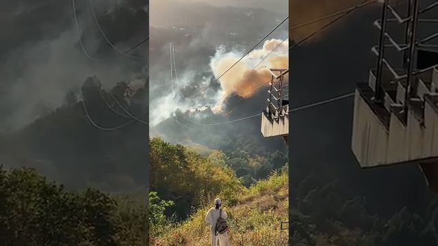 ЧП.!!! Кисловодский парк горит. 29 сентября 2024 #кисловодск смотреть онлайн