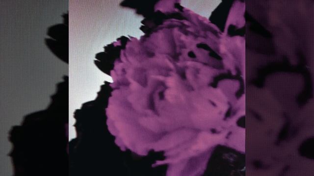 All Of Me (Tiësto's Birthday Treatment Remix - Radio Edit)