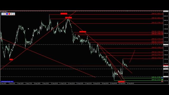 Золото. Прогноз форекс XauUsd, на сегодня 24.08. смотреть онлайн