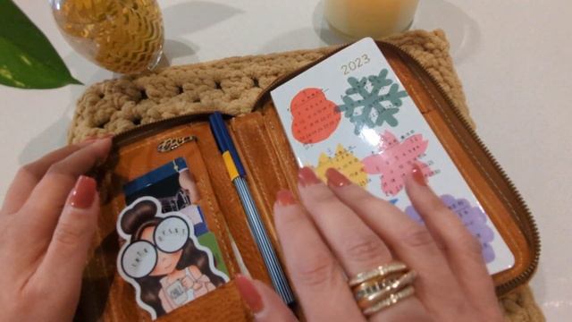 Apple Pig Zipped Leather - EDC Hobonichi weeks 2023 смотреть онлайн