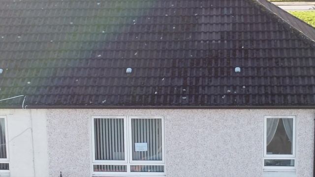 Spying on People with a DJI Mini 2! смотреть онлайн