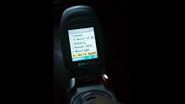 Samsung SGH-T100 Default Ringtones
