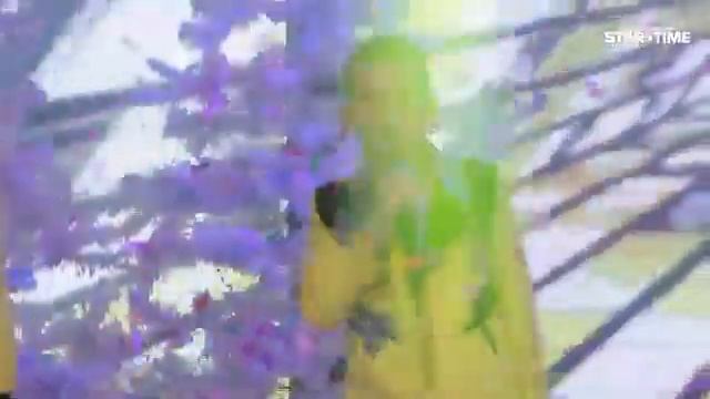 Кидстары новый год смотреть онлайн