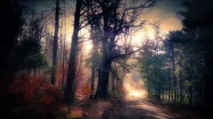 Страшные истории дальнобойщиков_ Мистические истории