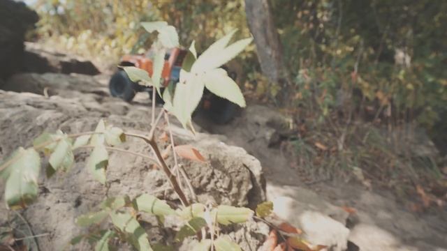 It's a Honcho! BUT BIGGER! - Axial Adventure SCX6 Trail Honcho Review смотреть онлайн