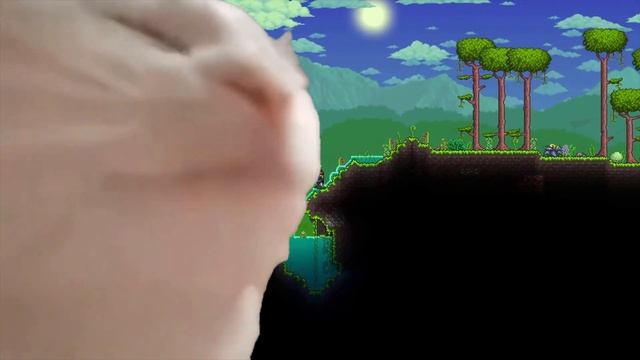 Terraria But It's An Old Video