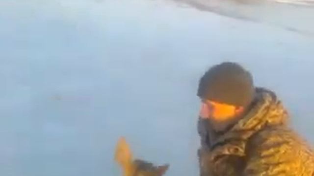 Угодившую в ледяную ловушку косулю спасли на границе «Земли леопарда»/Deer trapped in frozen lake смотреть онлайн