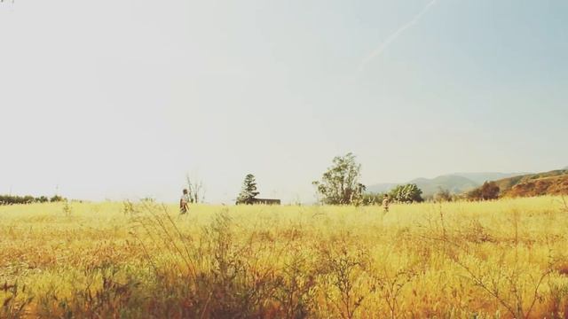 ANANIAS AND SAPPHIRA || ACTS 5 смотреть онлайн