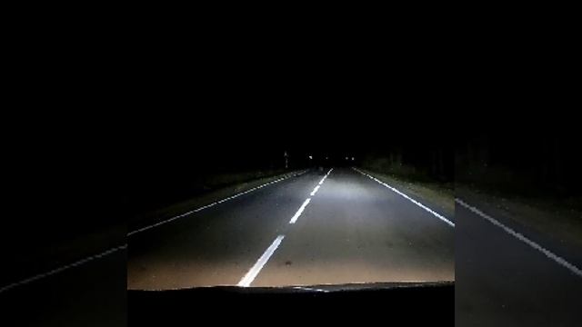 Дикий леопард у автодороги смотреть онлайн