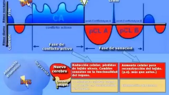 Canção original do Dr Hamer смотреть онлайн