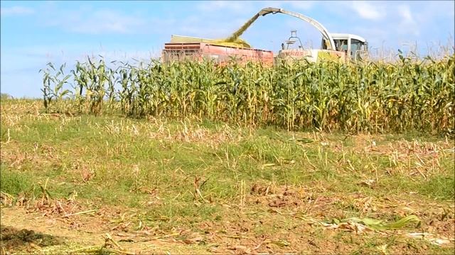 Silage 2014 : Claas Jaguar 850 смотреть онлайн