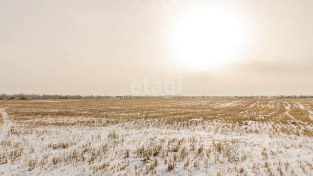 10277939 смотреть онлайн