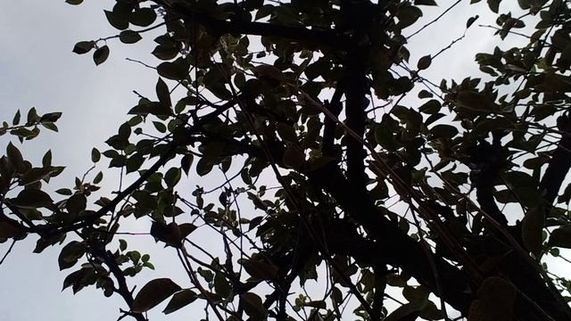 20241014_083342.mp4 смотреть онлайн