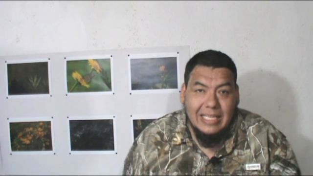 Felinos salvajes en México y su Conservación смотреть онлайн