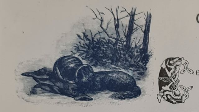 Русская народная сказка. «Отчего Лисе конец пришел». смотреть онлайн