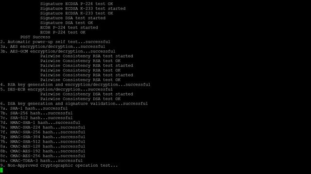 Interpreting the FIPS Object Module FIPS Test Suite смотреть онлайн