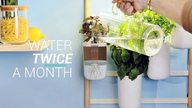 Modulo Wall Indoor Garden | MoMA Design Store смотреть онлайн