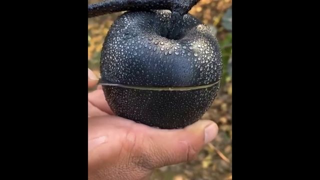Apple fruit in different countries | Apple fruit in Different colors | blue apple fruit смотреть онлайн