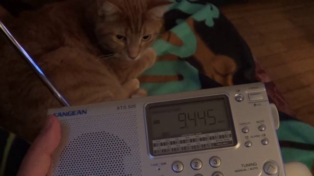 All India radio and DX the cat 9445 Khz Shortwave Sangean ATS 505P смотреть онлайн