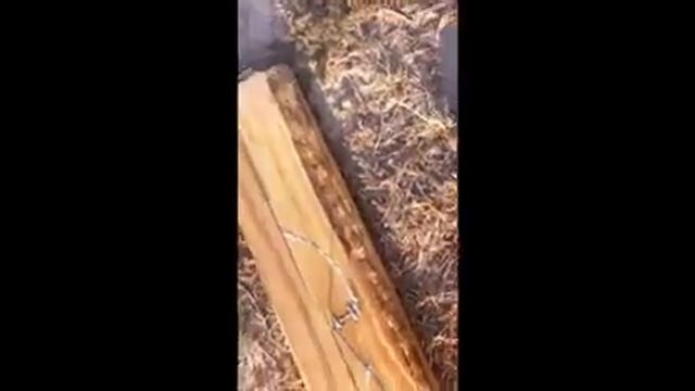 Leatherman SUPERTOOL 300 cutting test смотреть онлайн