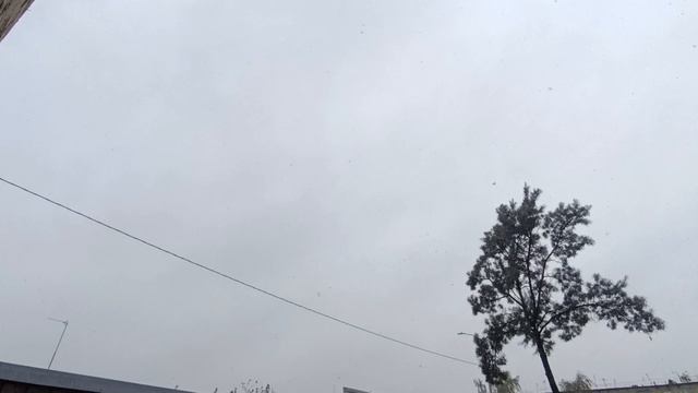 ПЕРВЫЙ СНЕГ 2024.mp4 смотреть онлайн