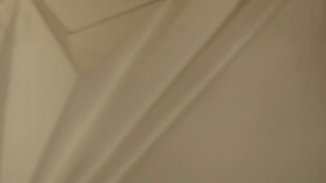 Quick test of the autofocus of the new GH6 смотреть онлайн
