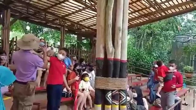 Royal Safari Garden , Bird Park , Kevin смотреть онлайн