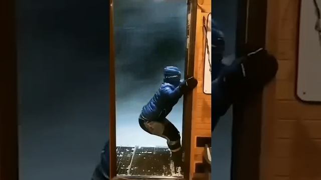 incredible sea life смотреть онлайн