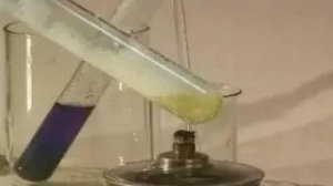 Органическая химия. Цветные реакции белка: биуретовая; ксантопротеиновая